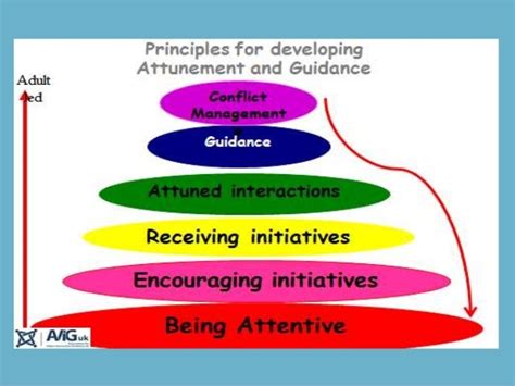 vig meaning|avig principles of attunement.